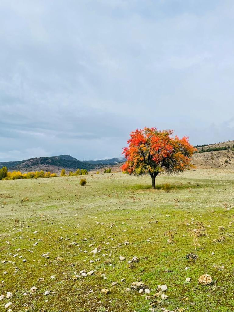 Las Colmenillas 1 Tragacete Kültér fotó